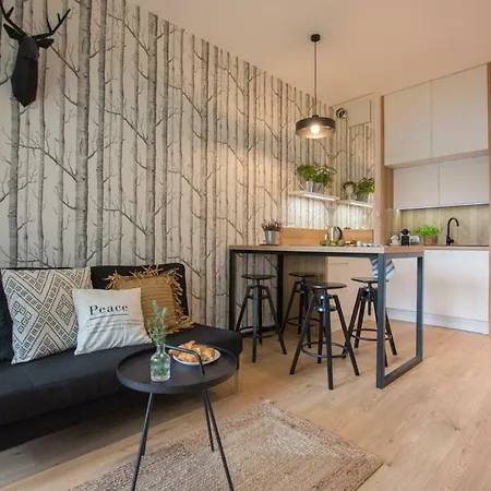 Rakowicka Apartment Cracovia Exterior foto