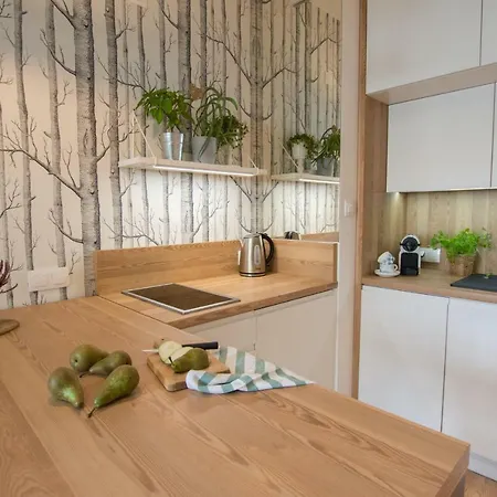 Rakowicka Apartment Cracovia Exterior foto